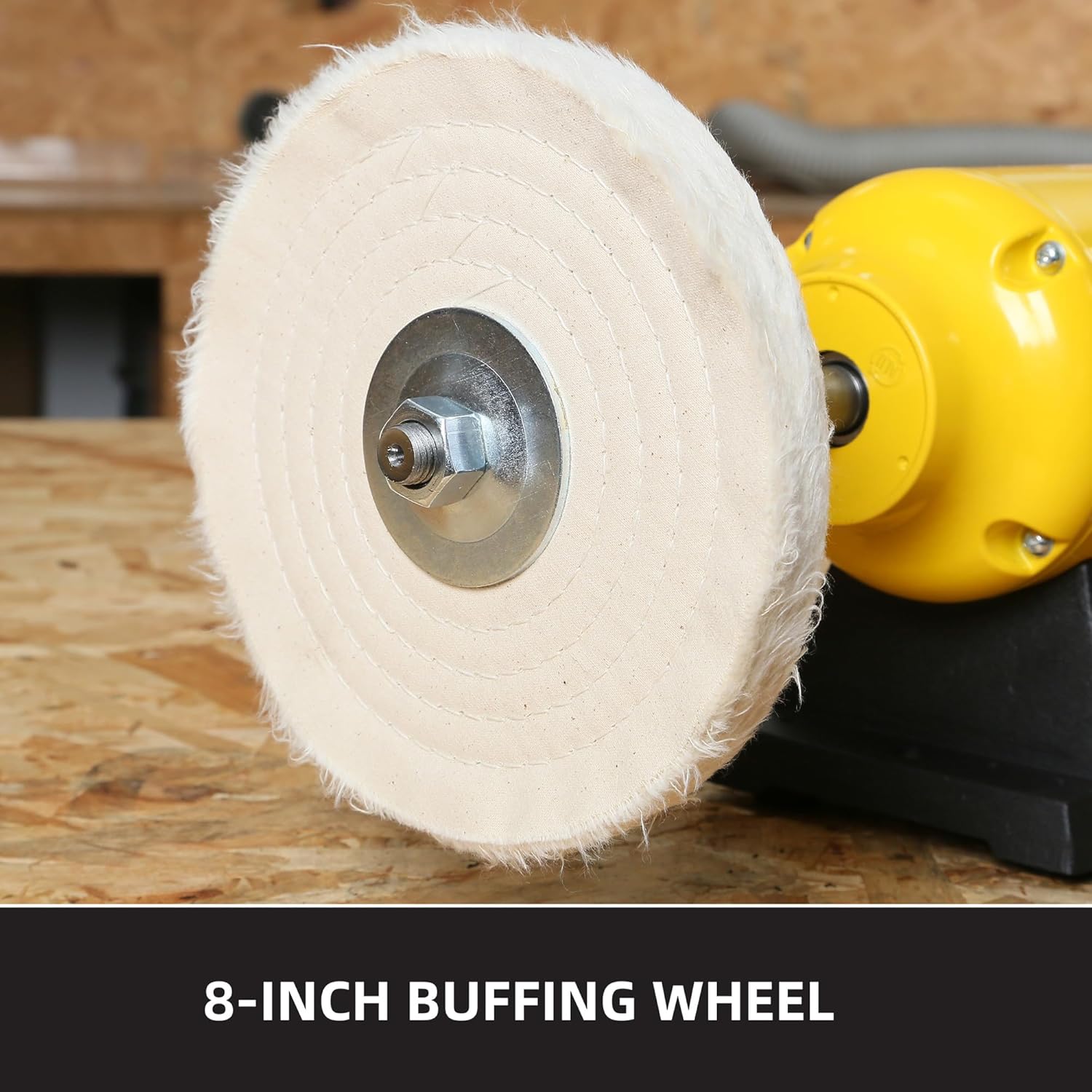 1.8/3.1A 1725/3450 RPM 8 inch Dual Speed Bench Buffer Polisher ‎TLG-200BGDS